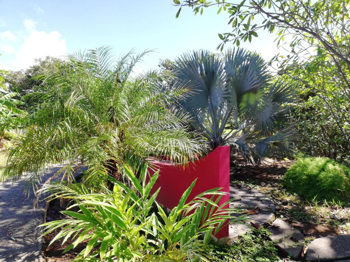 Punta Duarte Garden Inn Los Duarte Kültér fotó