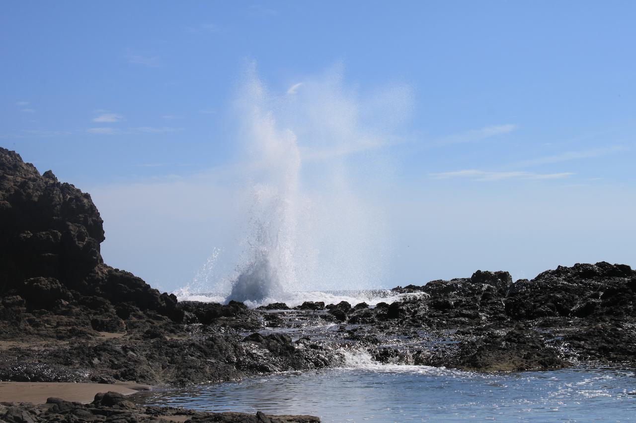 Punta Duarte Garden Inn Los Duarte Kültér fotó