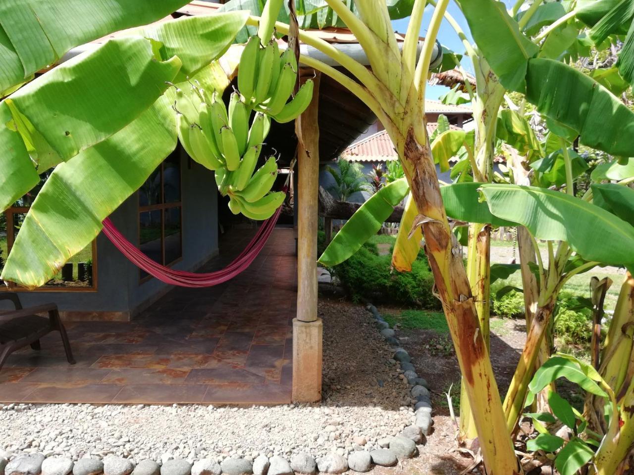 Punta Duarte Garden Inn Los Duarte Kültér fotó